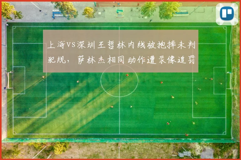 上海vs深圳王哲林内线被抱摔未判犯规,萨林杰相同动作遭录像追罚遭炮轰